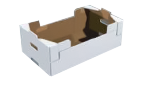 teco modello vassoio con aletta superiore