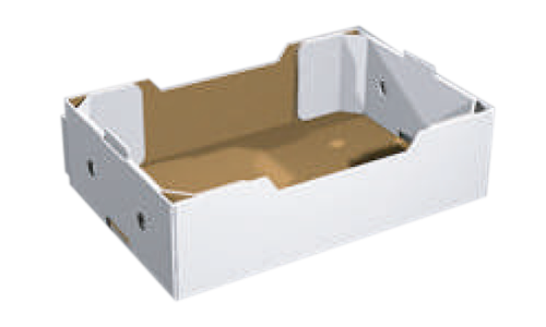 teco modello vassoio tipo citrus